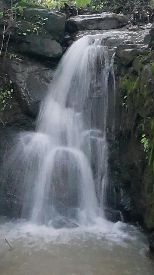 Cherilyn Monta Resort - Ratnagiri Vatul Luaran gambar